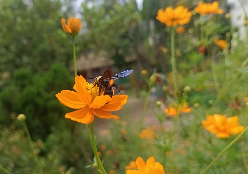 ছবি: মোস্তাফিজুর রহমান