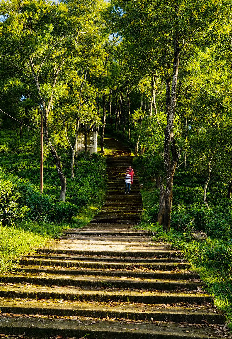 তিন শ সিঁড়ি পেরিয়ে ইতিহাসের টিলায়