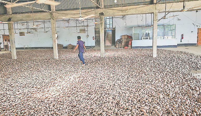 Bangladesh cuts potato cold-storage fees, easing costs for farmers