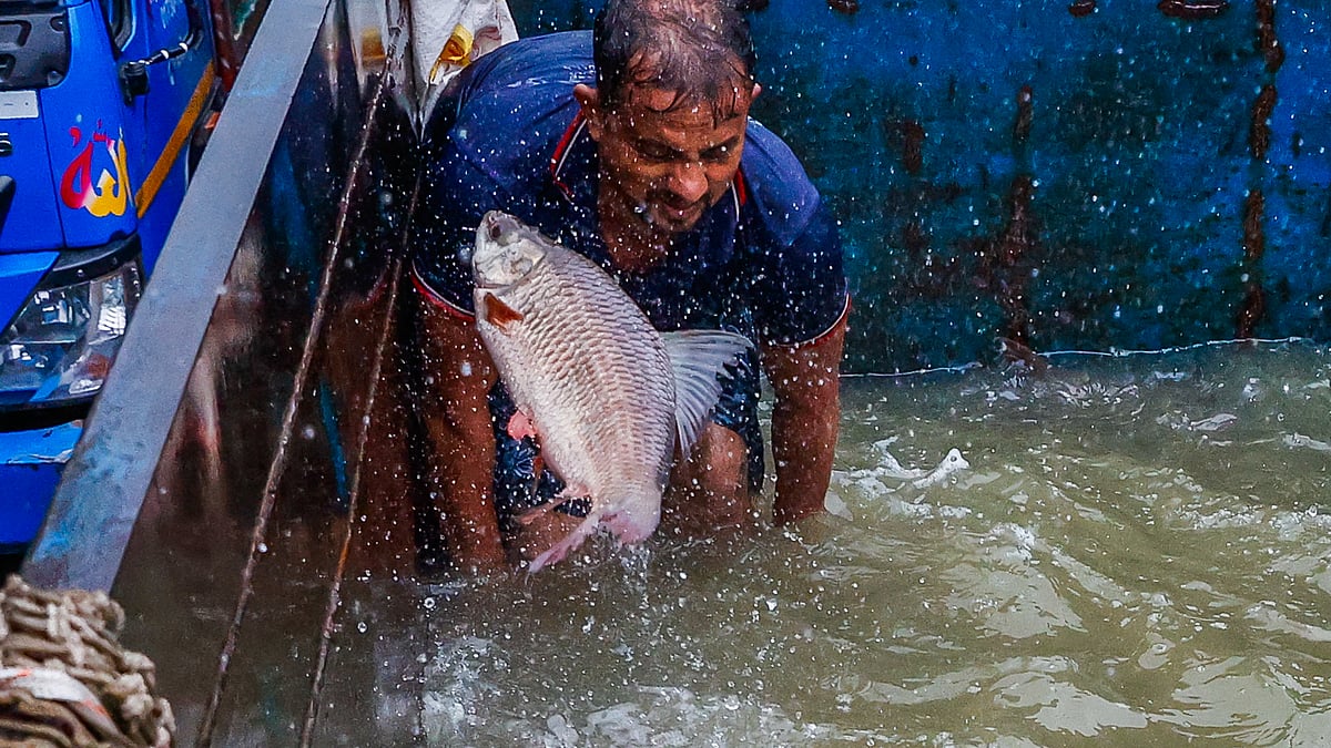 ট্রাকে ত্রিপল বিছিয়ে তাতে পানি দিয়ে আনা হয়েছে জ্যান্ত মাছ