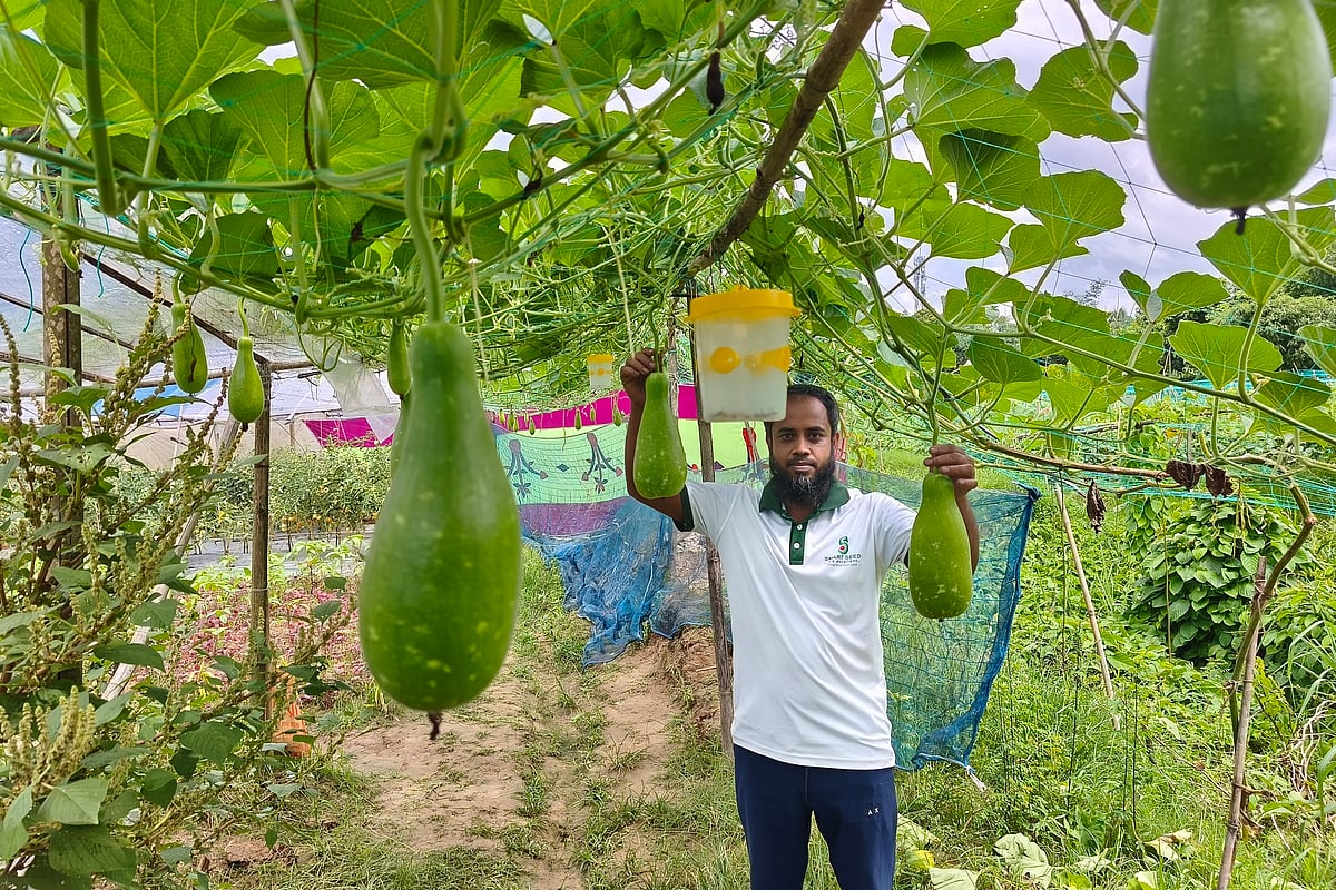 A farmer earned extra income by turning fallow land into a vegetable garden