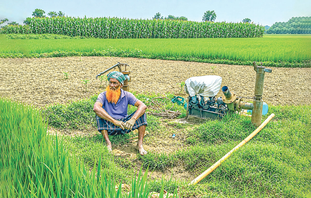 খাদ্যনিরাপত্তার নতুন ঝুঁকি, মোকাবিলার উপায় কী