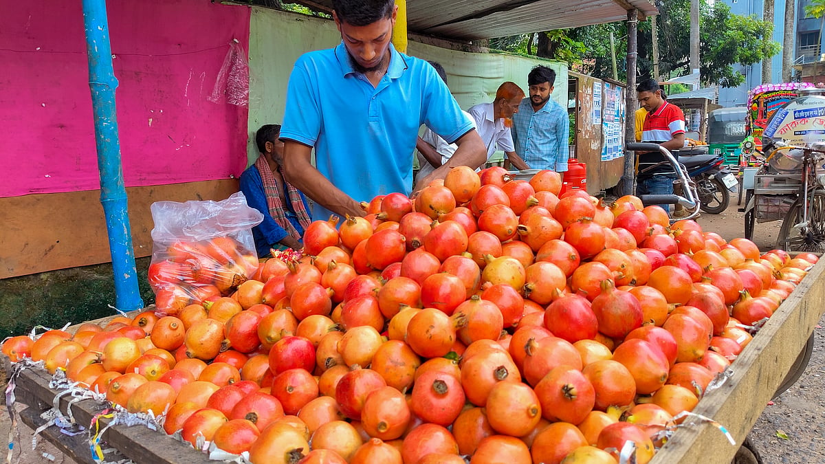 ছবি: সাইয়ান
