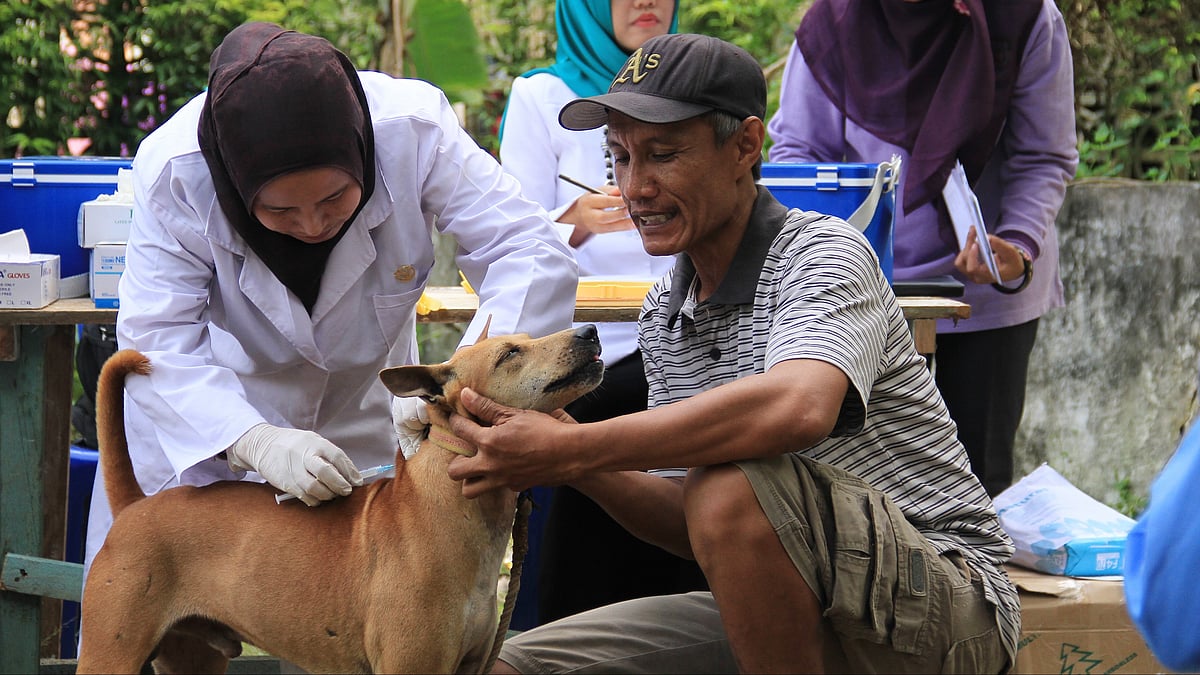 Bhutan Eliminates Dog-Transmitted Human Rabies