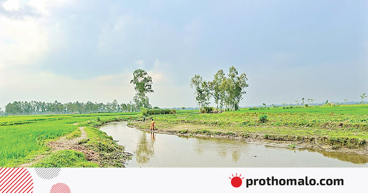 বাংলাদেশ ও ভারতের মধ্য দিয়ে প্রবাহিত নদী তালিকার চেয়ে বেশি বাংলাদেশ ও ভারতের মধ্য দিয়ে প্রবাহিত নদী তালিকার চেয়ে বেশি