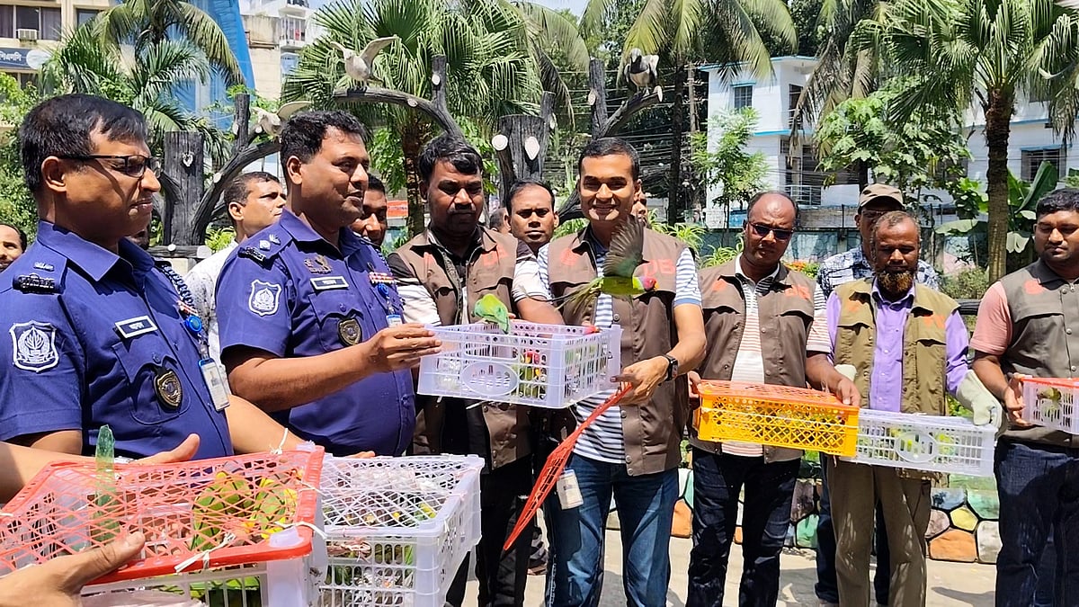Police Rescue 103 Parrots from a Passenger Bus and Release Them into the Sky