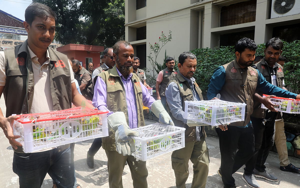103 trafficked parakeets were rescued and released in Bangladesh