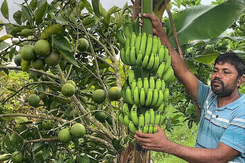 Farmer Builds Thriving Mixed Fruit Orchard by Learning from YouTube