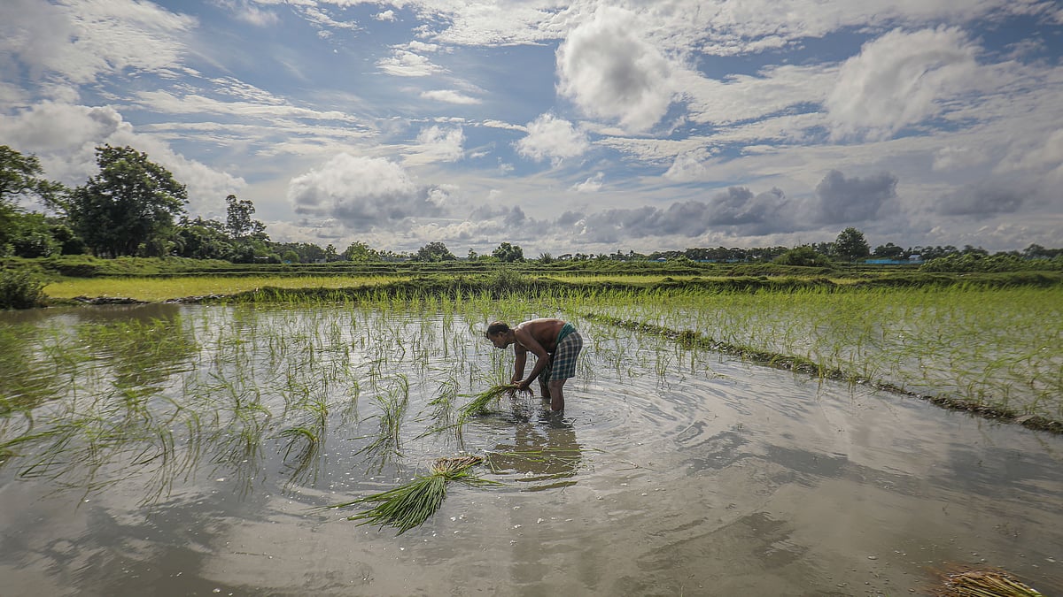 ছবি: সাদ্দাম হোসেন