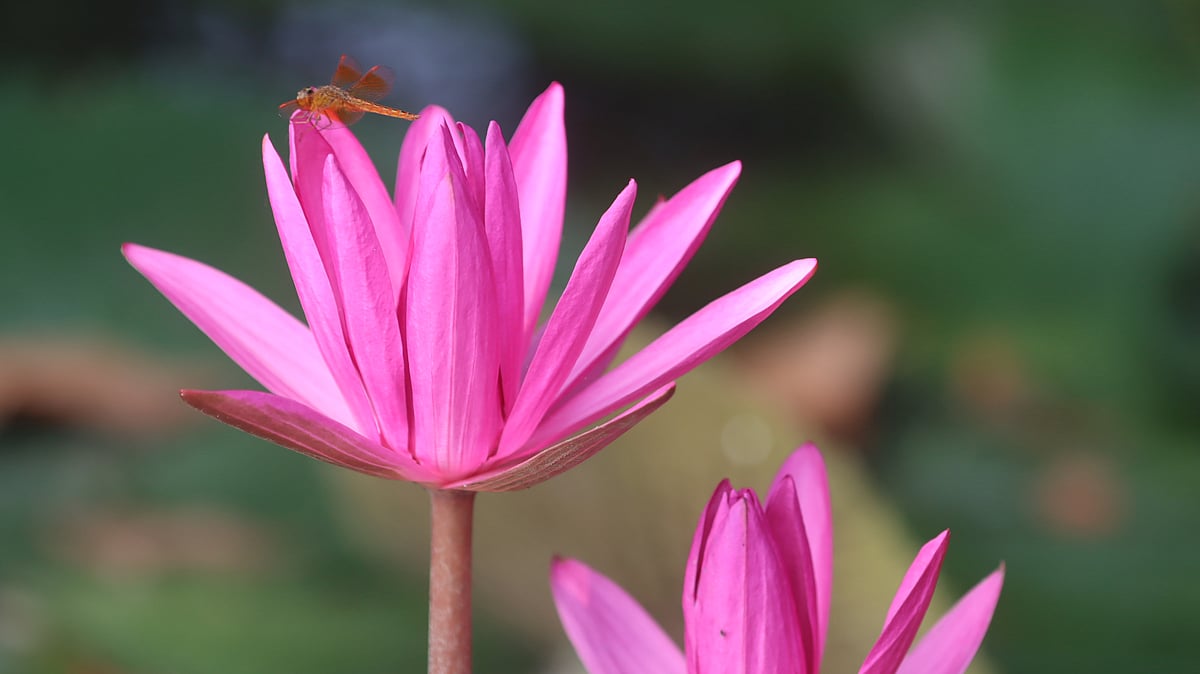  ছবি: মঈনুল ইসলাম