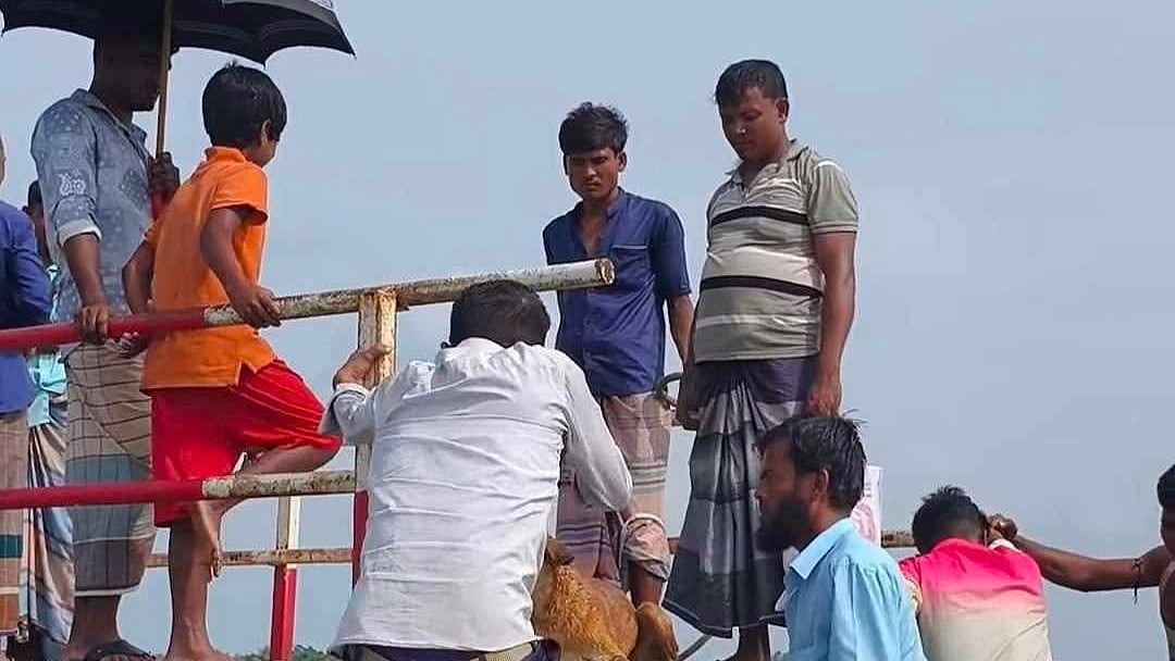 ছবি: সংগৃহীত