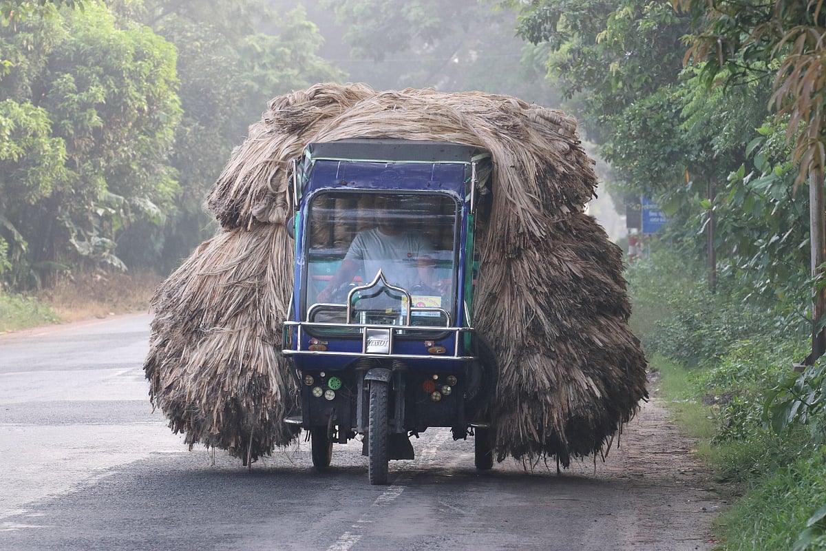 ছবি: আলীমুজ্জামান 
