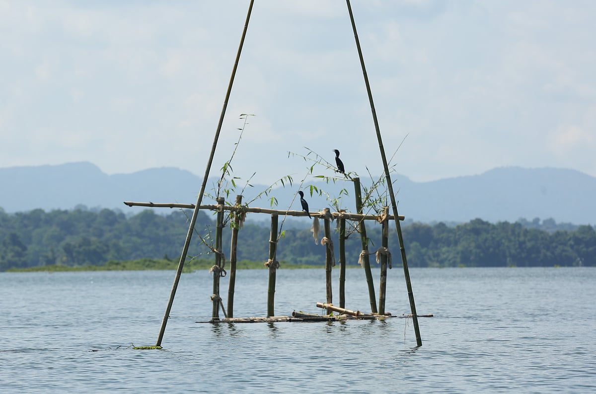 ছবি: সুপ্রিয় চাকমা