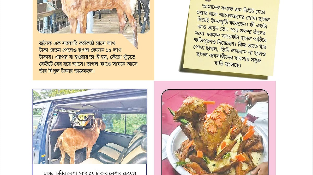 আইডিয়া: ঋতু