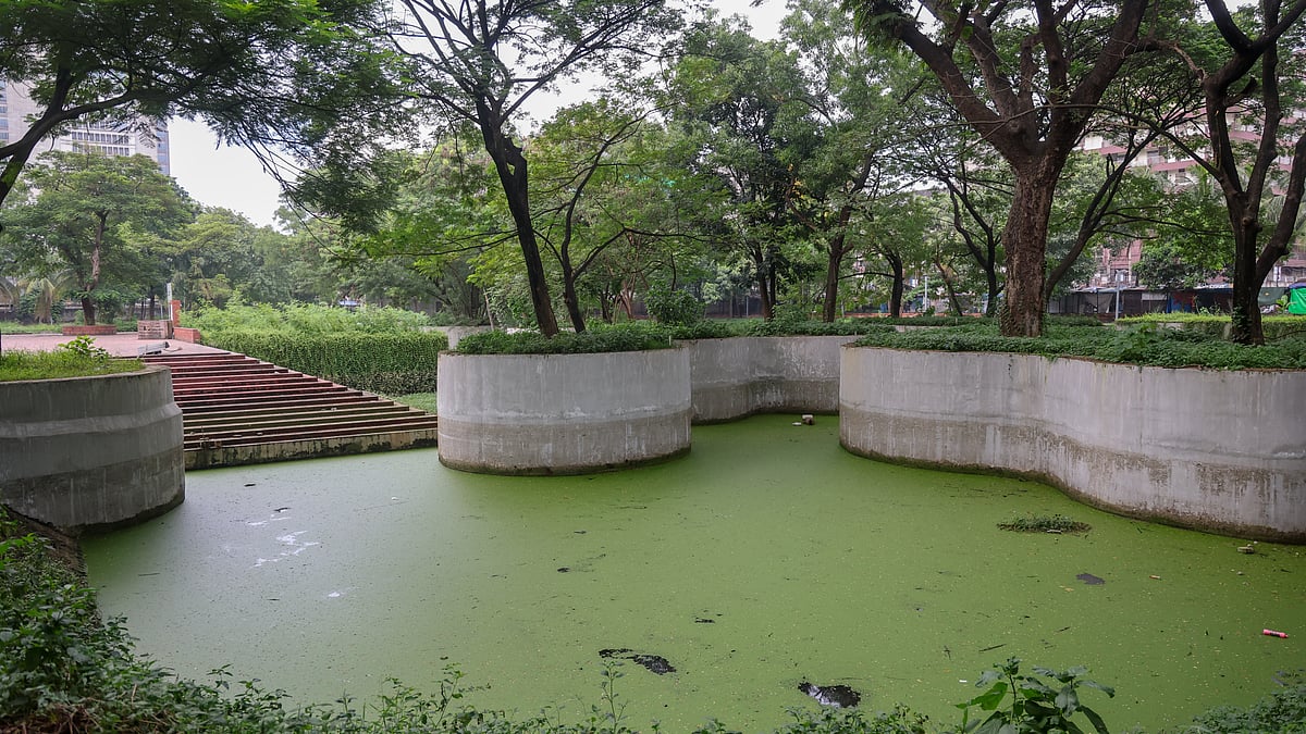 উদ্যানের দুই নম্বর জলাশয়টি এখন খুদে পানায় ভরে গেছে