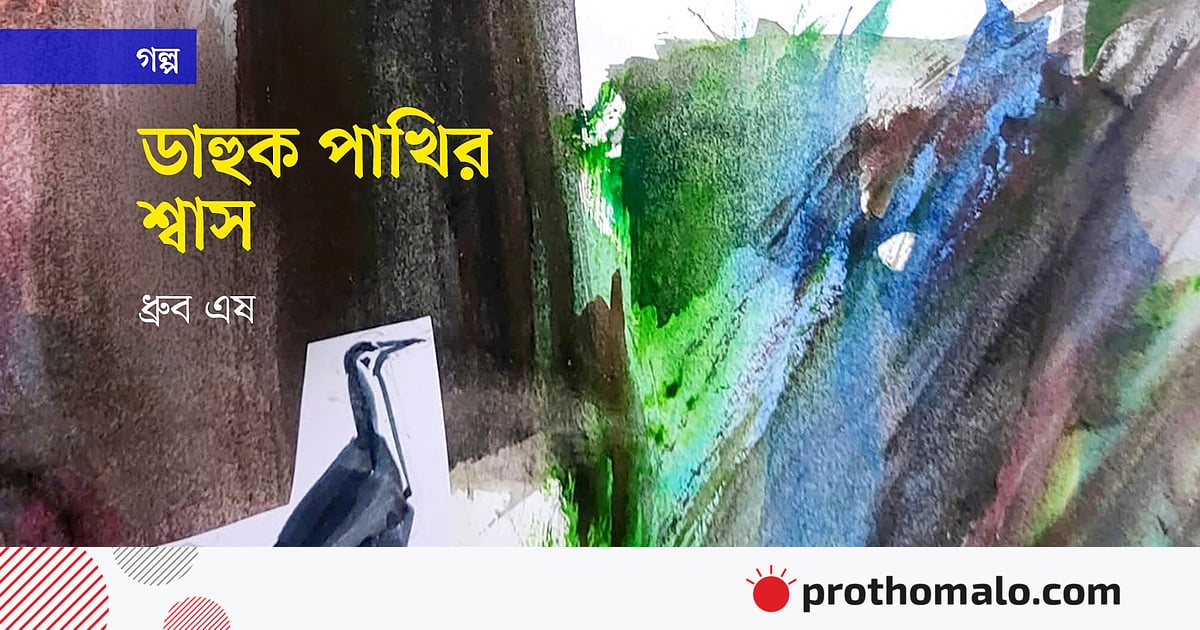 ডাহুক পাখির শ্বাস ডাহুক পাখির শ্বাস