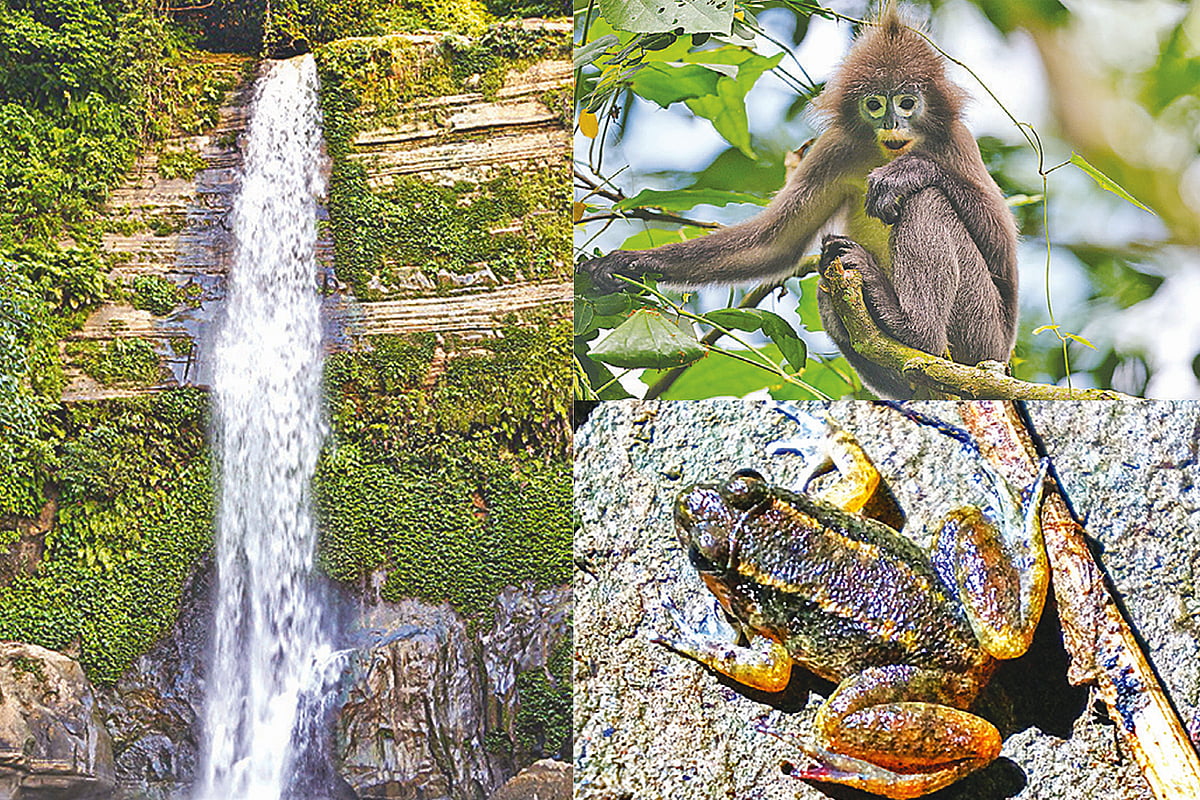 মাধবকুণ্ড: ঝরনার আড়ালে লুকিয়ে আছে অন্য জগৎ