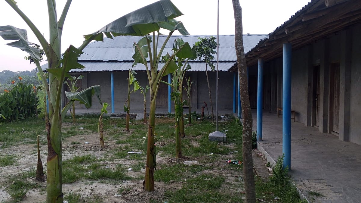 পুত্রবধূকে ‘চাকরি না দেওয়ায়’ বিদ্যালয়ে তালা দিলেন সাবেক দাতা সদস্য, মাঠে কলাগাছ রোপণ