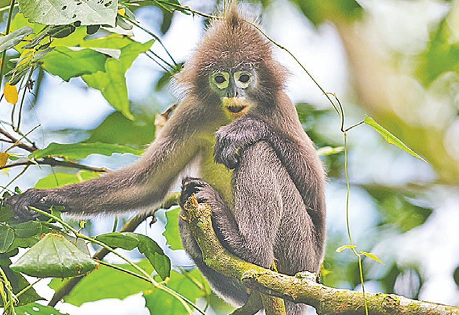 ছবি: লেখক 