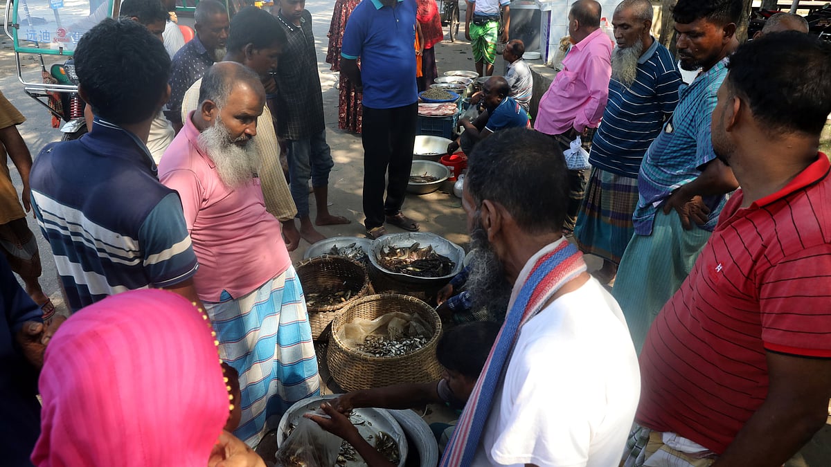 চলনবিলের নানা দেশি মাছ আনা হয়েছে বগুড়ার শহরতলির পল্লীমঙ্গল হাটে