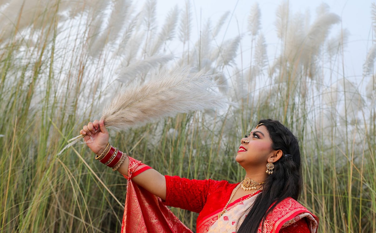 শরতের কোমল রোদে ঝলমল করছে সারি সারি কাশফুল, তার মধ্যে এক প্রকৃতিপ্রেমী