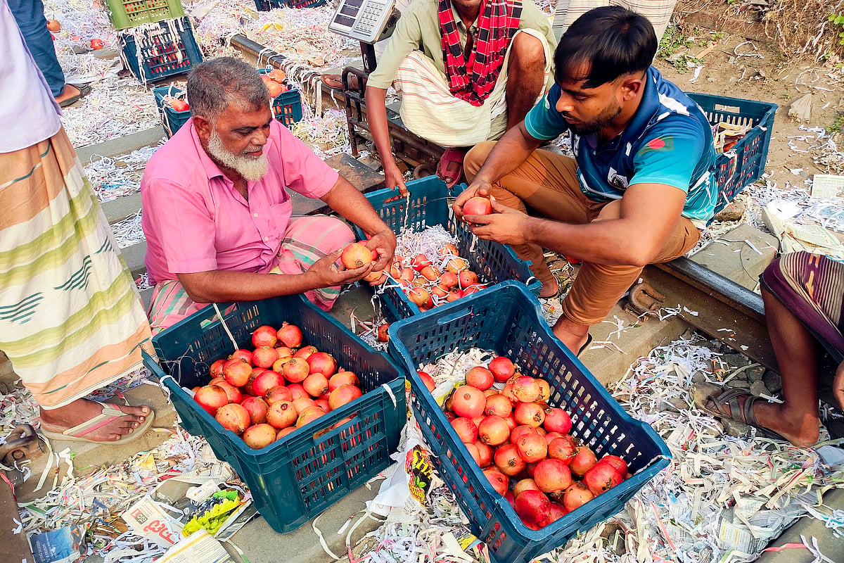 বিক্রির জন্য সাজিয়ে রাখা হয়েছে ডালিম