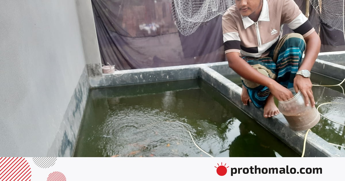 পড়েন মাদ্রাসায়, ৪০ টাকার দুটি মাছ থেকে গড়েছেন ৩০ লাখের হ্যাচারি পড়েন মাদ্রাসায়, ৪০ টাকার দুটি মাছ থেকে গড়েছেন ৩০ লাখের হ্যাচারি