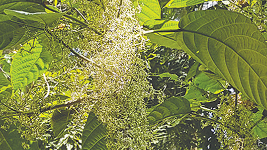 ছবি: লেখক