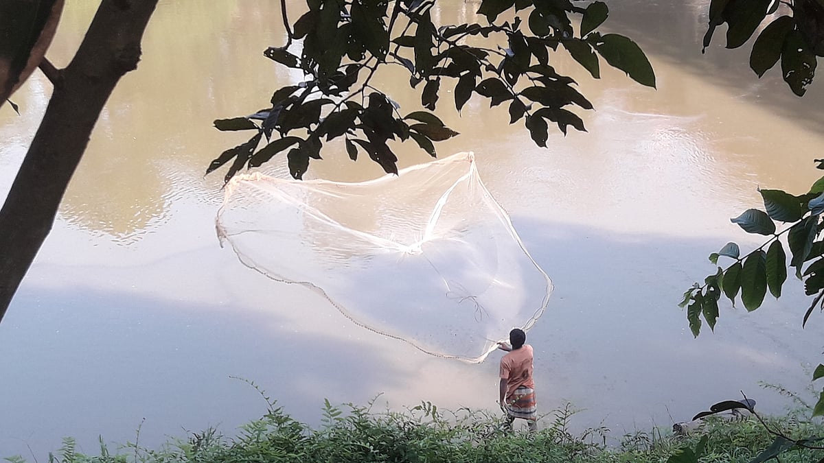 ছবি: আকমল হোসেন