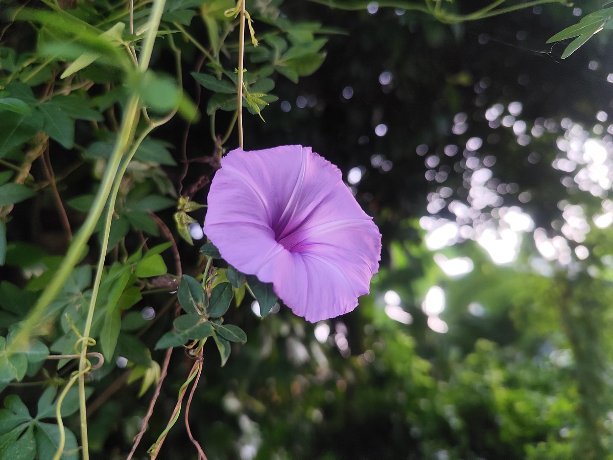 ছবি: আবদুর রহমান