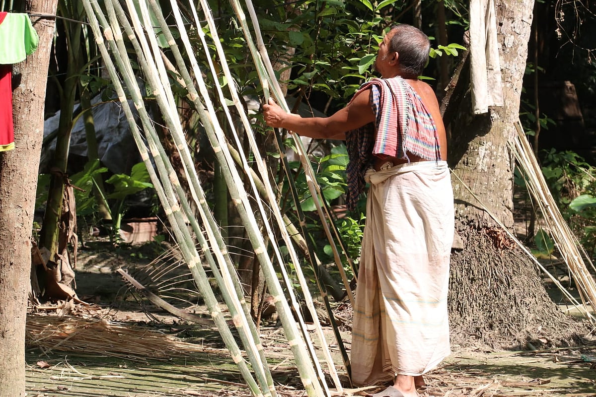 ঝাঁকার জন্য বাঁশের পাত রোদে শুকানো হচ্ছে