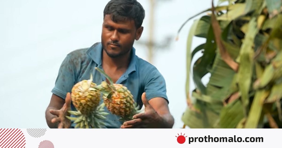 রাসায়নিক–নির্ভরতা থেকে জৈব বিকল্প খুঁজছে বাংলাদেশ রাসায়নিক–নির্ভরতা থেকে জৈব বিকল্প খুঁজছে বাংলাদেশ