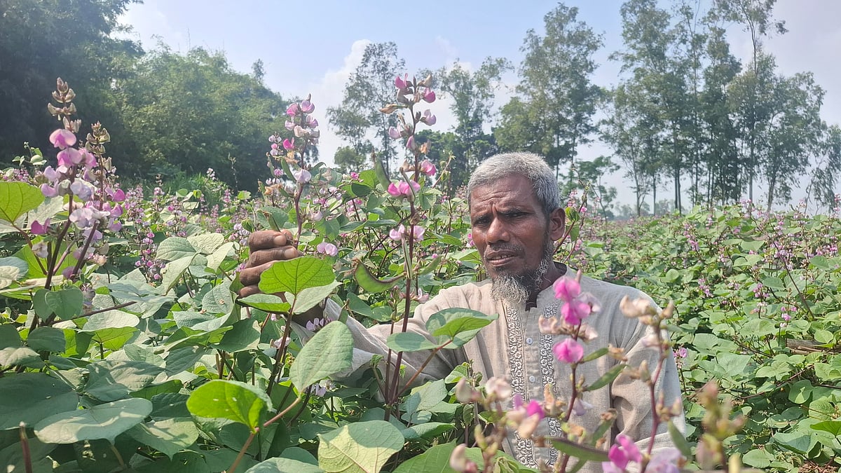 ছবি: মজিবর রহমান খান