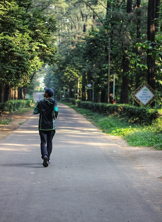 হাঁটার বিকল্প নেই