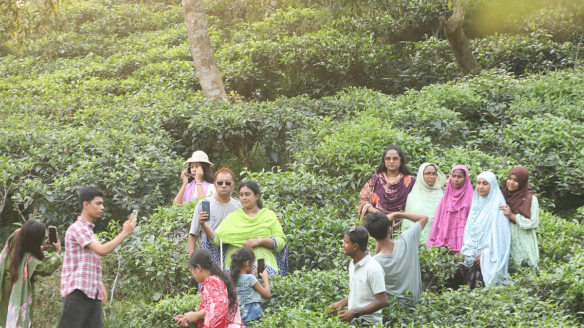 পূজার দীর্ঘ ছুটিতে পরিবার-পরিজন নিয়ে সিলেটের চা-বাগানে ঘুরতে এসেছেন অনেকে