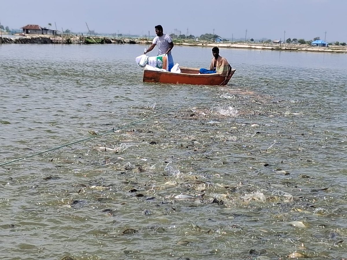 মাছ চাষ করেই এক ইউনিয়নে শতজন কোটিপতি