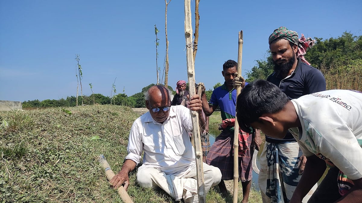 ৮০ পেরিয়েও গাছ লাগানোর নেশা ছাড়তে পারেননি কার্তিক পরামানিক