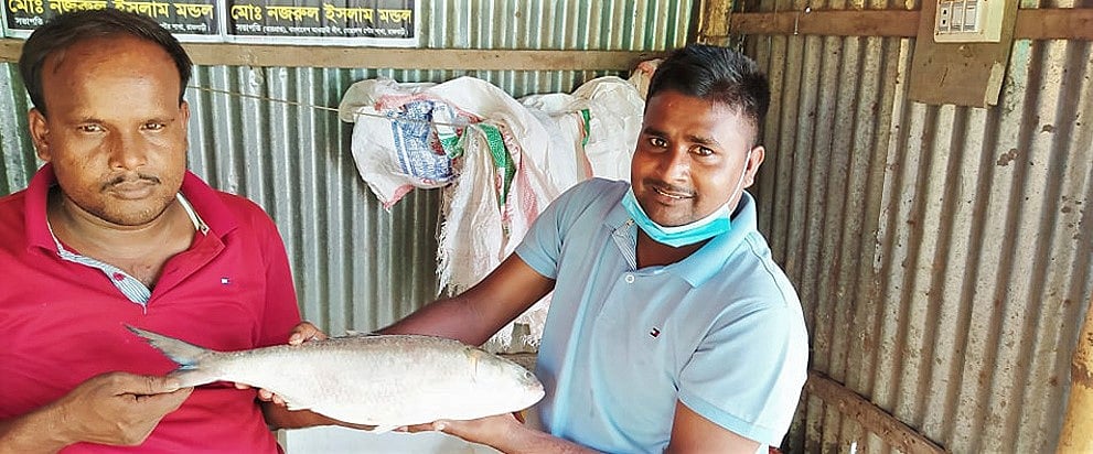 ২ কেজি ২০০ গ্রাম ওজনের ইলিশ হাতে এর মৎস্য ব্যবসায়ী চান্দু মোল্লা (ডানে)। মাছটি তিনি ৫ হাজার ৭০০ টাকায় কিনে ঢাকার এক ব্যক্তির কাছে ৬ হাজার ৬০০ টাকায় বিক্রি করেন। রোববার
রাজবাড়ীর দৌলতদিয়া ঘাট বাজারে।