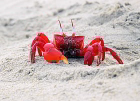 তোমার ঘরে