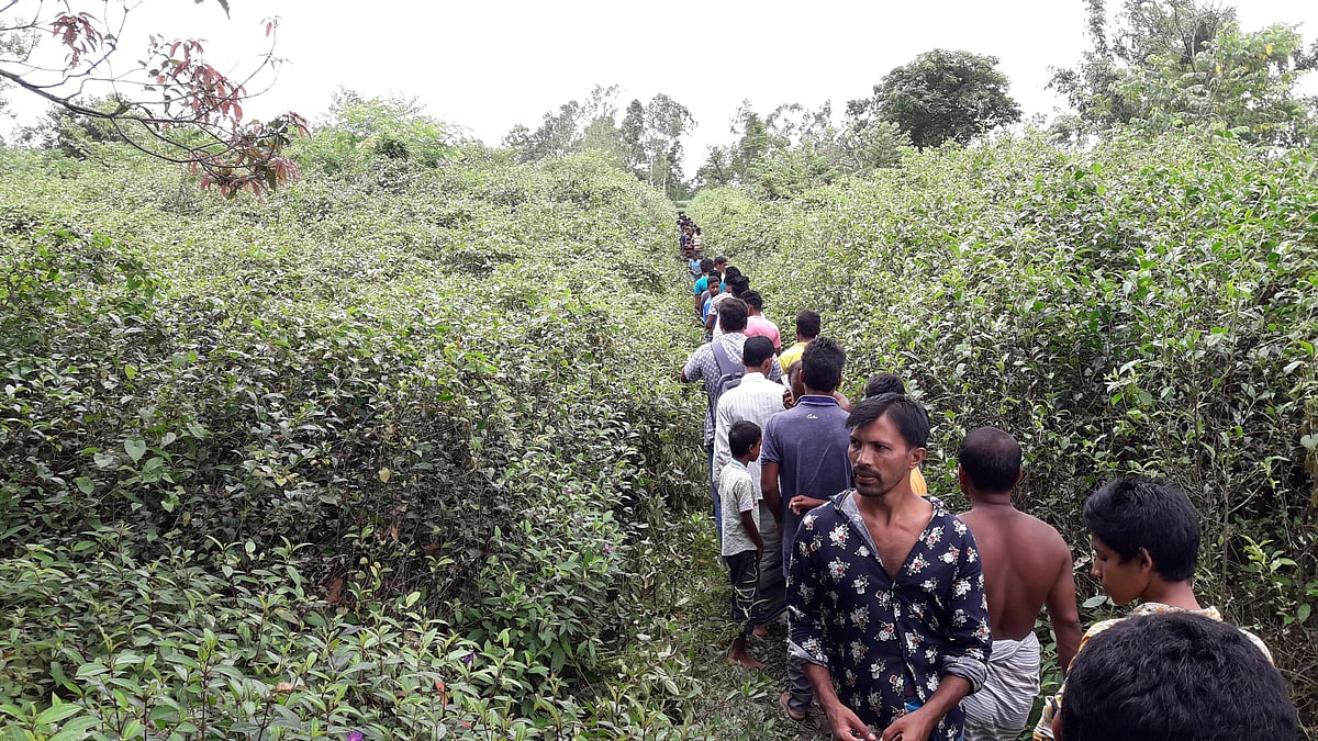 চিতাবাঘের আক্রমণে একটি গরু মারা যাওয়ার পর পঞ্চগড় সদর উপজেলার মুহুরীজোত এলাকায় শত শত মানুষ ভিড় করে। বৃহস্পতিবার সকালে মুহুরীজোত এলাকার একটি চা-বাগানে।