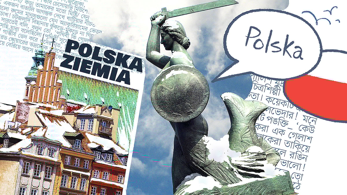 ছবি: উইকি মিডিয়া কমনস