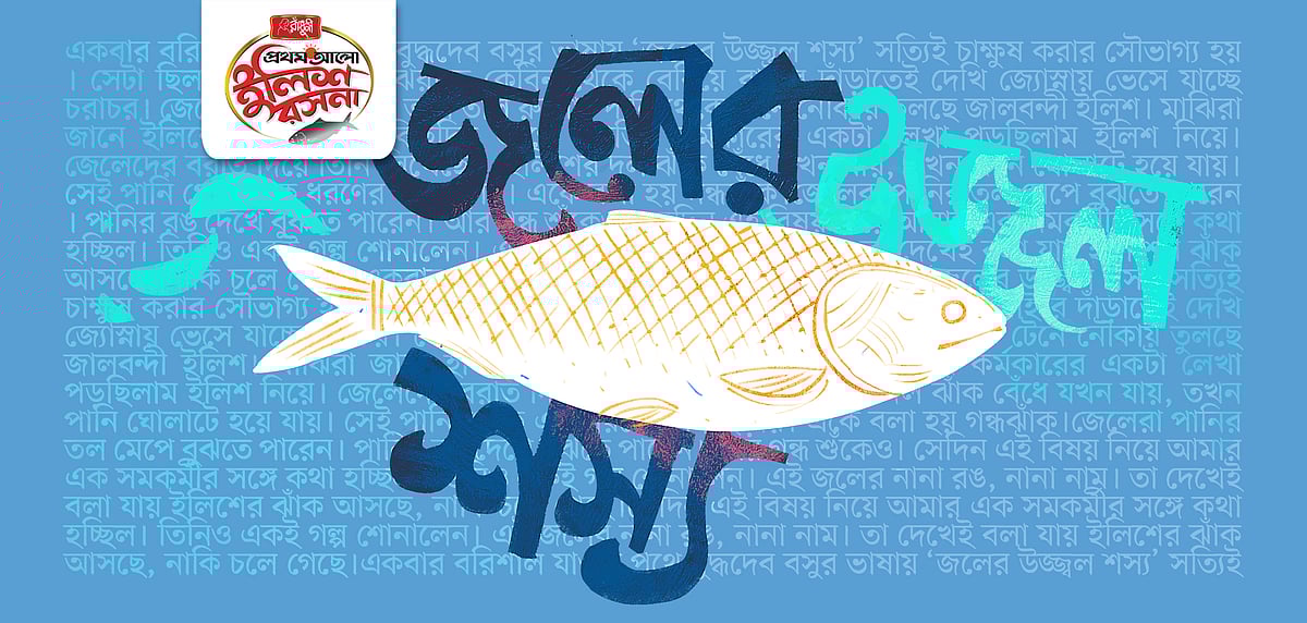 অলংকরণ: সব্যসাচী মিস্ত্রী