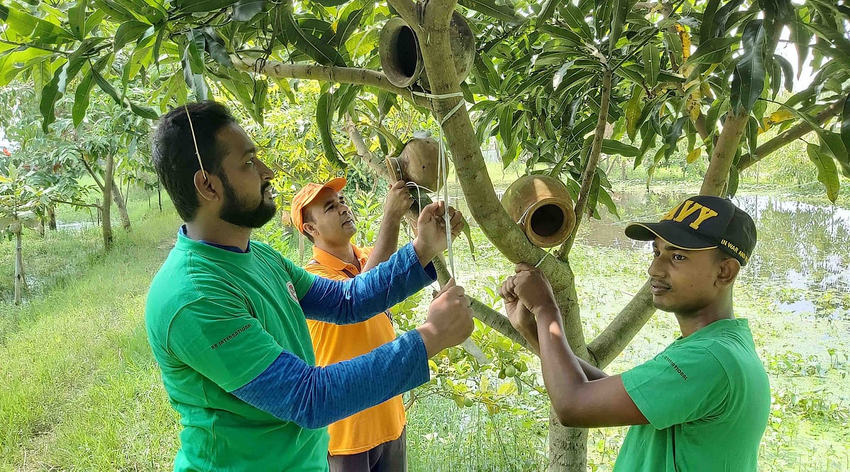 পাখির নিরাপদ আশ্রয়ের জন্য গাছে গাছে মাটির হাঁড়ি বেঁধে দেওয়া হয়েছে