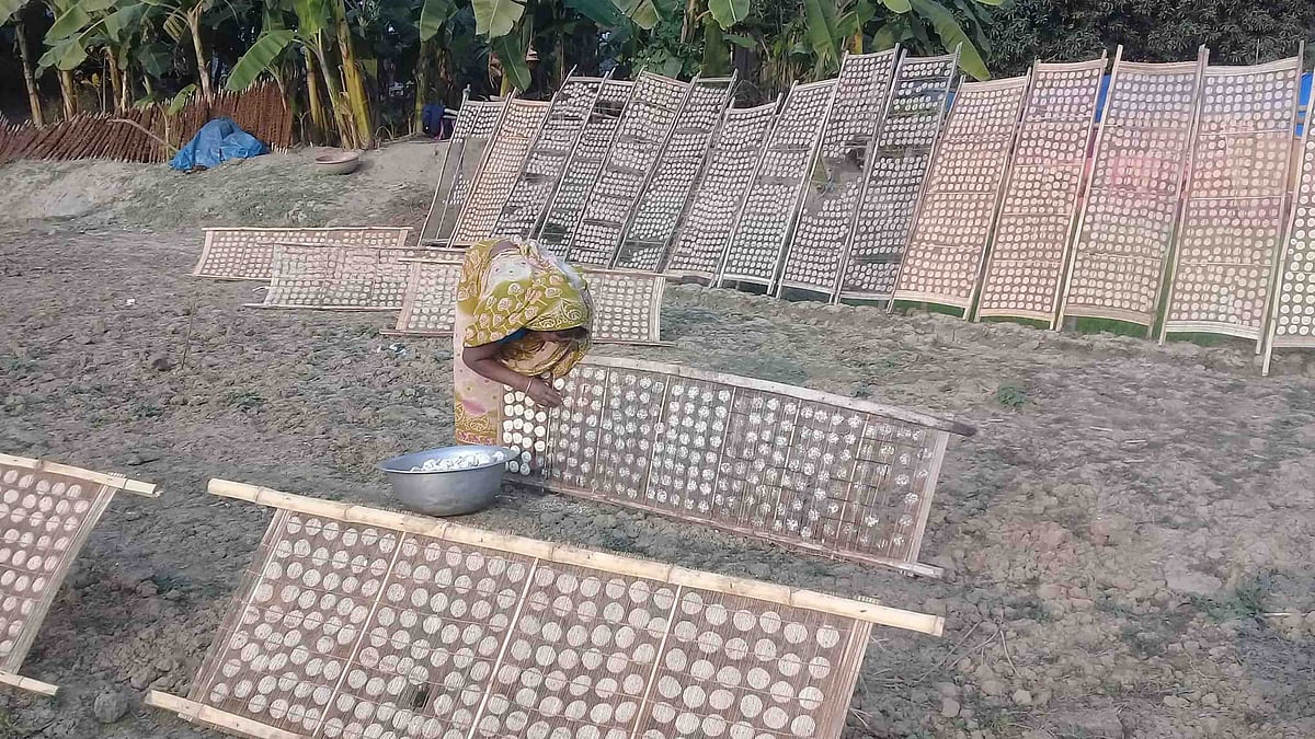 শীত সামনে রেখে কুমড়াবড়ি তৈরিতে তাই ব্যস্ত সময় পার করছেন নারীরা। মঙ্গলবার দুপুরে নাটোরের নলডাঙ্গা উপজেলার ব্রহ্মপুর ইউনিয়নের ঝুপদুয়ার গ্রামে