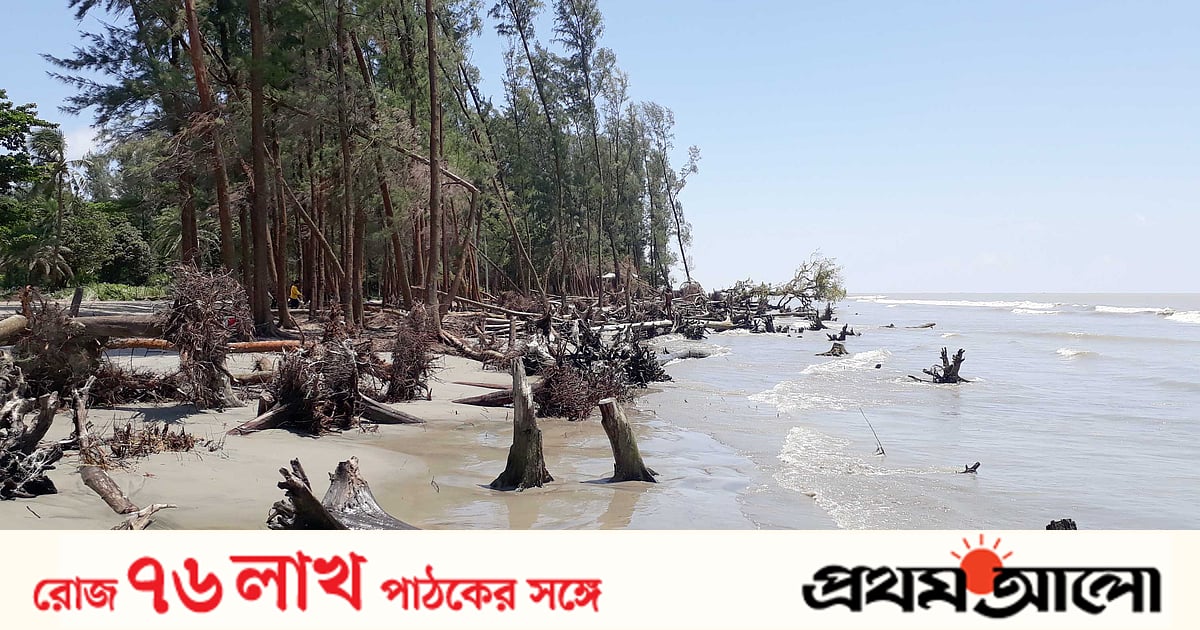 Katta kokrak qafasining surati Katta kokrak qafasining surati