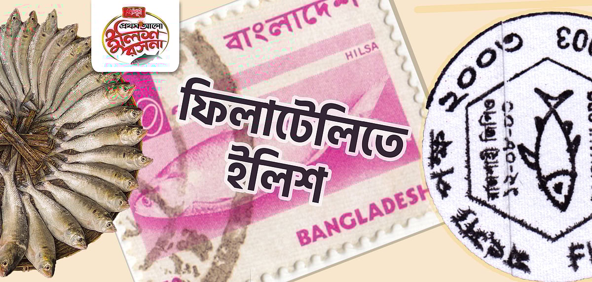 ছবি: লেখক