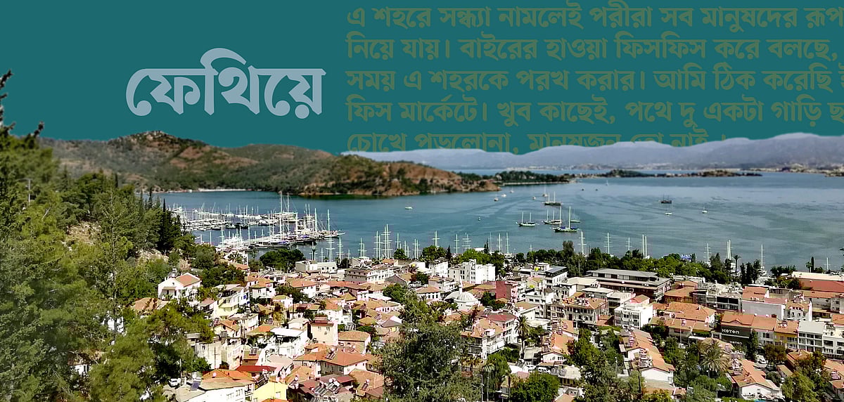 ছবি: লেখক