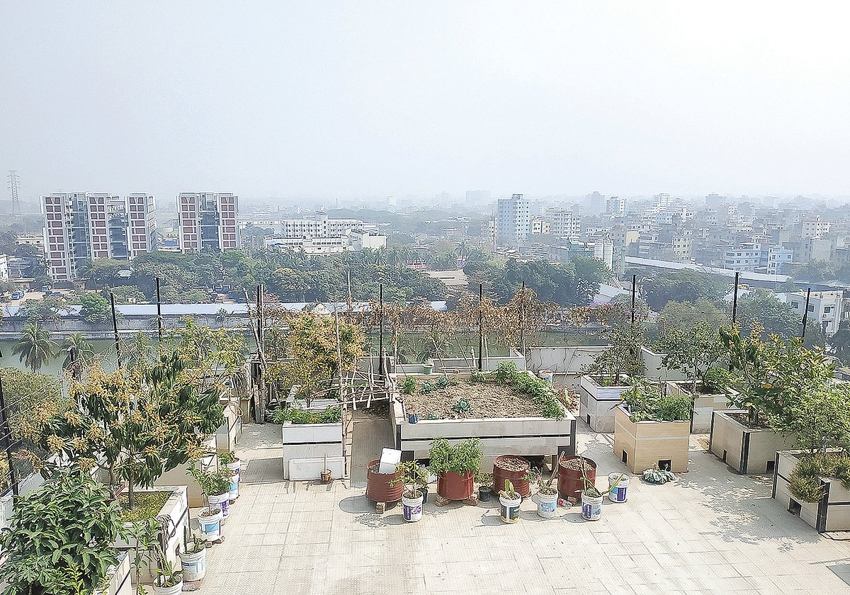 ছাদবাগানের মাটি, সারসহ নিয়মিত গাছের যত্ন করে দেয় পেশাদার প্রতিষ্ঠান।