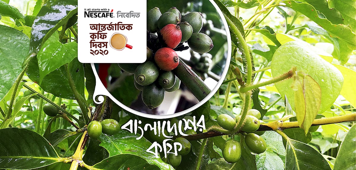 ছবি: পলাশ বড়ুয়া ও আকমল হোসেন