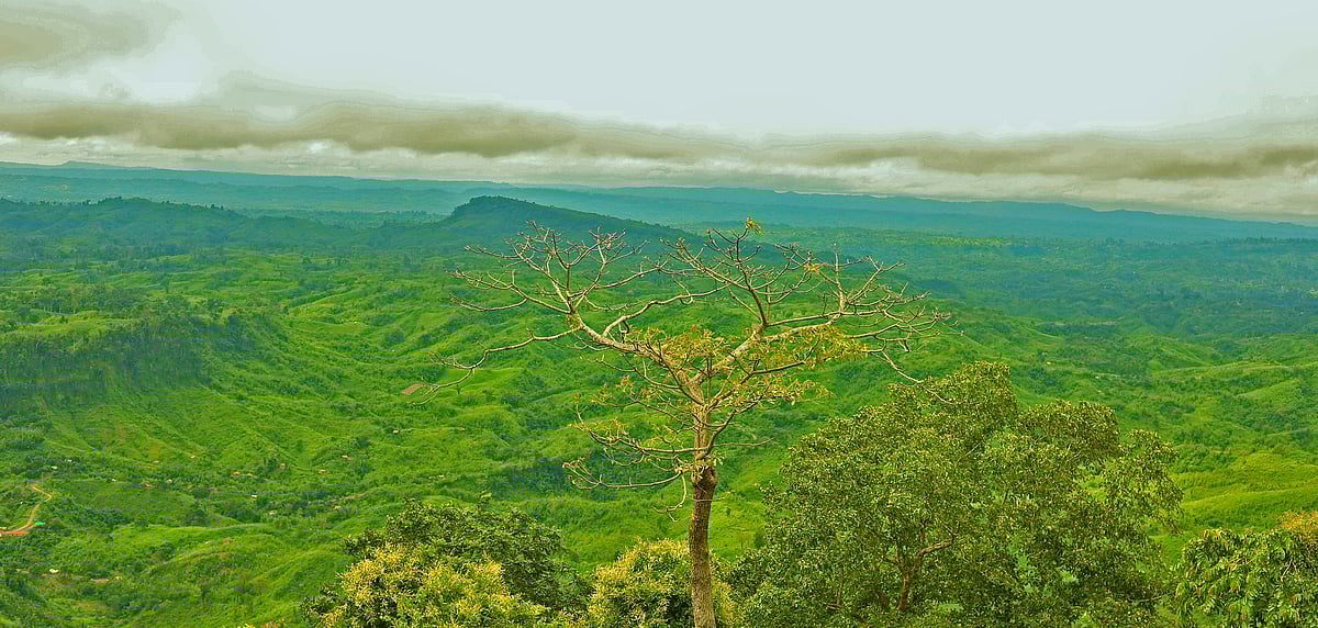 নীলচে পাহাড়ের দেশে